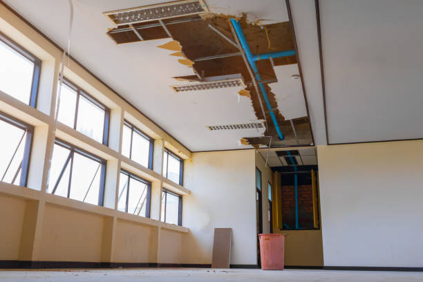 Best Carpet water damage restoration  in West Point, GA