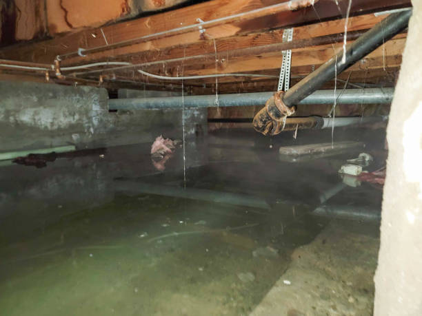 Best Water damage restoration near me  in West Point, GA