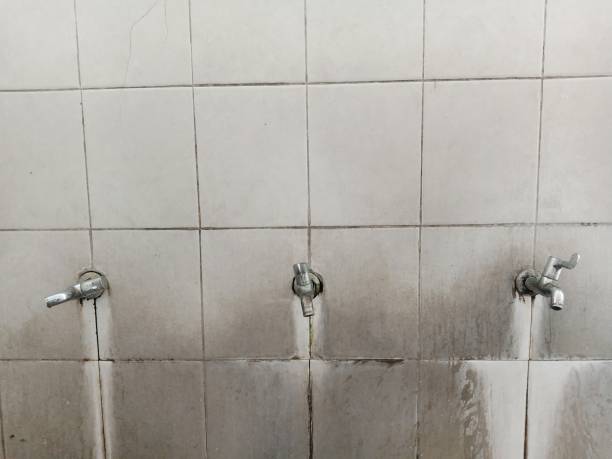 Best Water damage restoration near me  in West Point, GA